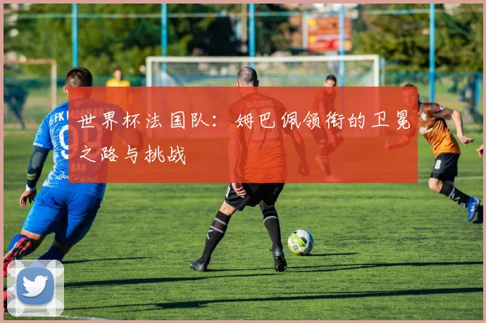 世界杯法国队:姆巴佩领衔的卫冕之路与挑战