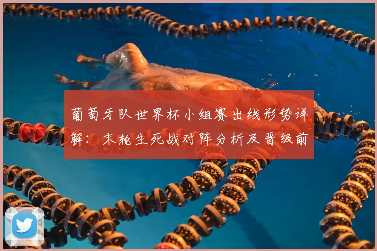 葡萄牙队世界杯小组赛出线形势详解：末轮生死战对阵分析及晋级前景预测